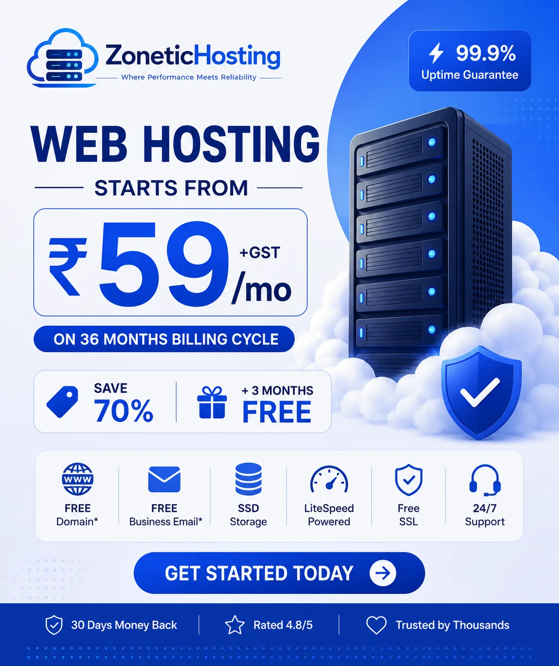 ZoneticHosting offer